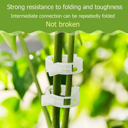 3 in 1 Plant Clumping Clips